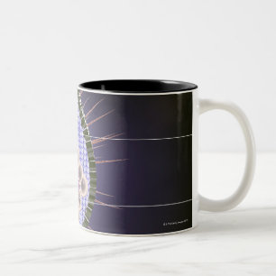 Taza Bicolor Estructura del virus de herpes