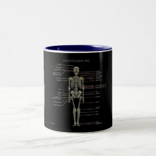 Taza Bicolor Estudíelos los huesos…