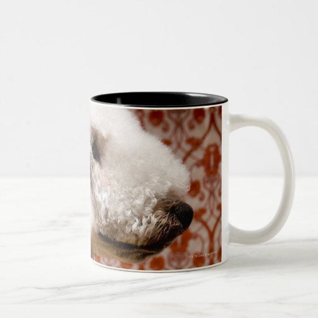 Taza Bicolor Estudio tirado de Bedlington Terrier (Derecha)