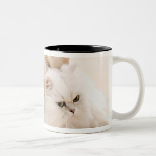 Taza Bicolor Estudio tirado de gato y de perro