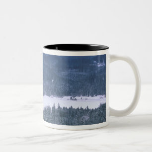 Taza Bicolor Europa, Alemania, Baviera, Hohenschwangau