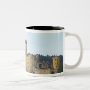 Taza Bicolor Europa, Alemania, cerca de Koblenz, Castillo Schlo