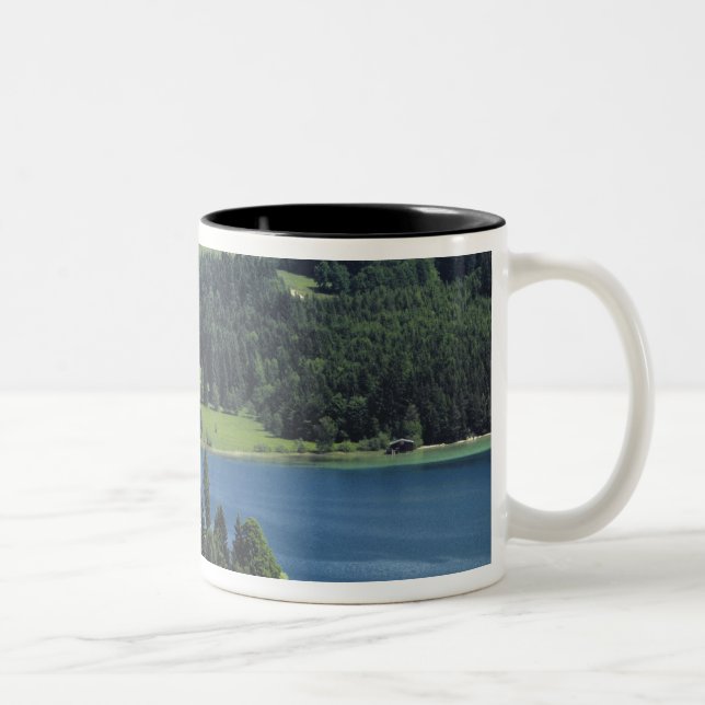 Taza Bicolor Europa, Austria, Fuschl. Castillo de Fuschl (Derecha)