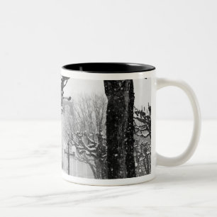 Taza Bicolor Europa, Austria, Salzburgo. Invierno,