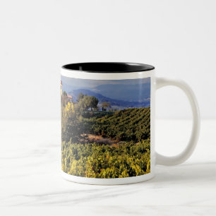 Taza Bicolor Europa, Francia, Bonnieux. Los viñedos cubren