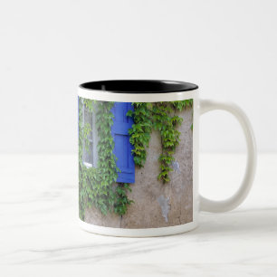 Taza Bicolor Europa, Francia, Lourmarin. Hiedra en cascada