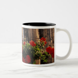 Taza Bicolor Europa, Francia, Provenza, Arlés, Bocas, del,