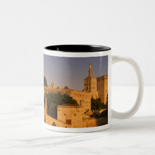 Taza Bicolor Europa, Francia, Provenza, Aviñón. Palacio de 2