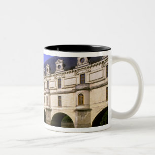Taza Bicolor Europa, Francia, Valle del Loira. Castillo