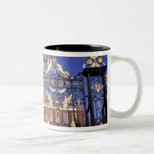 Taza Bicolor Europa, Inglaterra, Londres. Puerta dorada en el e