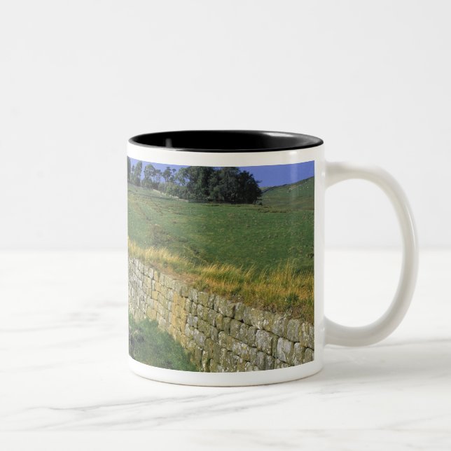 Taza Bicolor Europa, Inglaterra, Muralla de Adriano. Las piedra (Derecha)