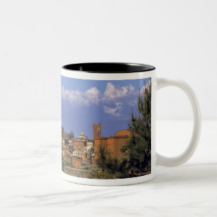 Taza Bicolor Europa, Italia, San Miniato. Bajo un amplio,