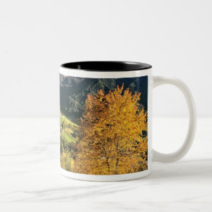 Taza Bicolor Europa, Italia, Santa Magdalena. El pequeño