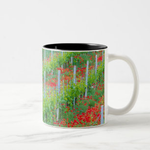 Taza Bicolor Europa, Italia, Toscana. Camionetas rojas colorida