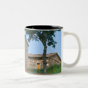 Taza Bicolor Europa, Italia, Toscana, villa abandonada en