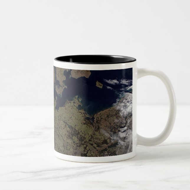 Taza Bicolor Europa noroccidental (Derecha)