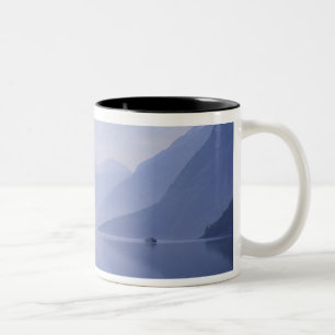 Taza Bicolor Europa, Noruega. Paredes verticales reflejadas en