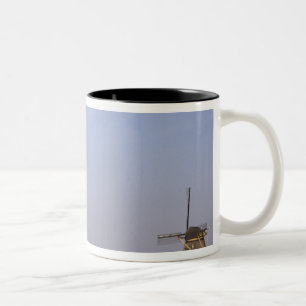 Taza Bicolor Europa, Países Bajos, Zuid Holland, Kinderdijk.