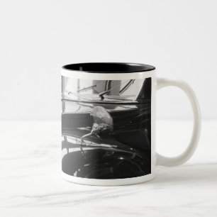 Taza Bicolor Europa, Suiza, Lucerna. 1938 Tatra checo