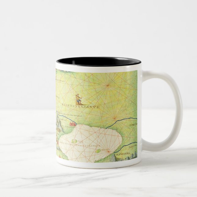 Taza Bicolor Europa y Asia Central (Derecha)