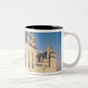 Taza Bicolor Fachada principal y la fachada del sur