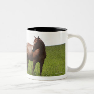 Taza Bicolor Familia de caballo en campo