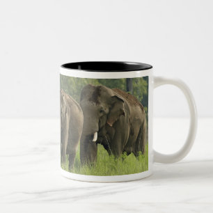 Taza Bicolor Familia de elefantes indios