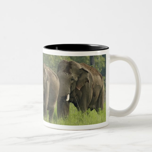 Taza Bicolor Familia de elefantes indios (Derecha)
