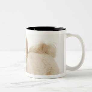 Taza Bicolor Familiaris del Canis