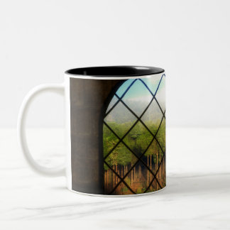 Taza Bicolor Fantasías: Las fronteras de la basura de tierras d