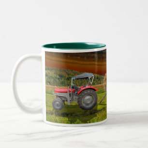 Taza Bicolor Farming