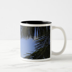 Taza Bicolor Faro de Bill Baggs Cape Florida, Bill Baggs 2