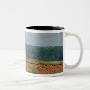 Taza Bicolor Faro en North Umberland en Prince Edward