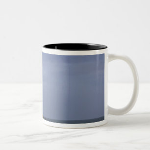 Taza Bicolor Faro en Pigeon Point State Beach en San