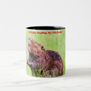 Taza Bicolor Felicitaciones de Navidad Mi pequeño castor