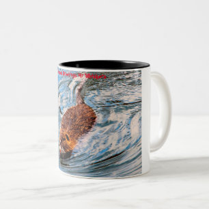 Taza Bicolor Felicitaciones de Navidad Mi pequeño castor