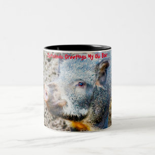 Taza Bicolor Felicitaciones de Navidad Mi Viejo Jabalí