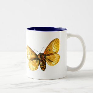 Taza Bicolor Femenino de Bombyx