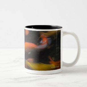 Taza Bicolor Feng Shui cree que los pescados del koi trae buena