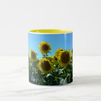 Taza Bicolor Fest del girasol--Taza