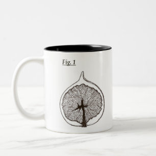 Taza Bicolor Fig. 1