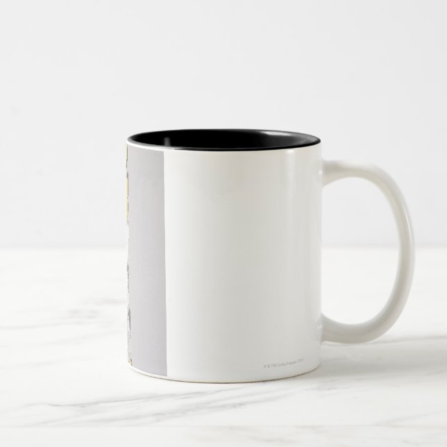 Taza Bicolor Fila de mariposas (Derecha)