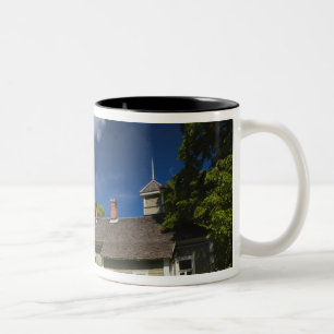 Taza Bicolor Finca en Mikhailovskoye