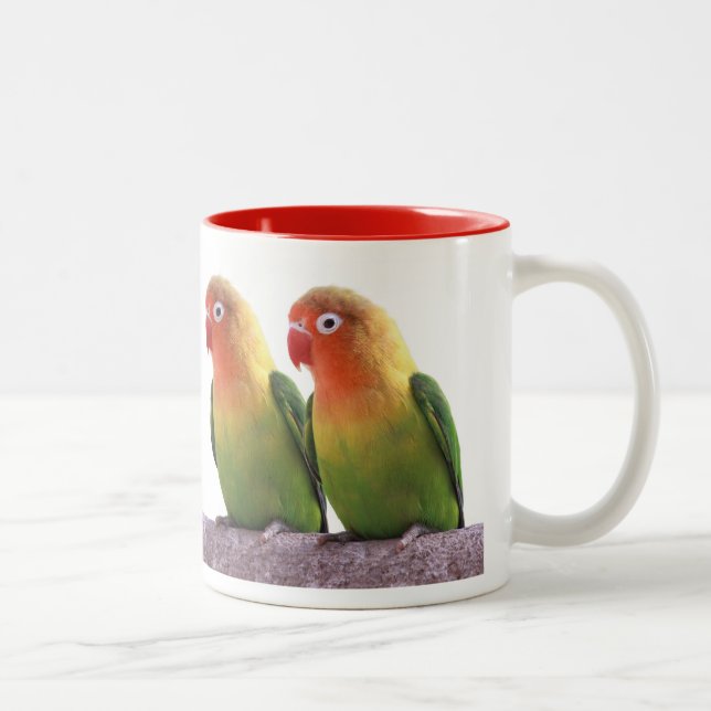 Taza Bicolor Fischer's Lovebird (Derecha)