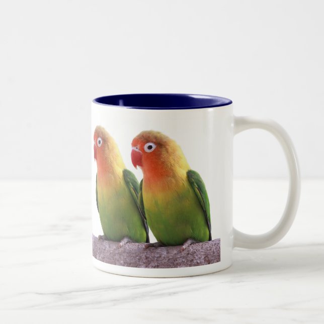 Taza Bicolor Fischer's Lovebird (Derecha)