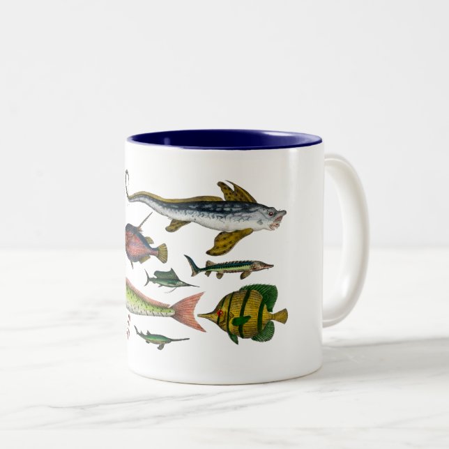 Taza Bicolor Fish Gift (Anverso derecho)