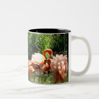 Taza Bicolor flamencos rosados