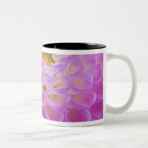 Taza Bicolor Flor de crisantemo decorando tumba en