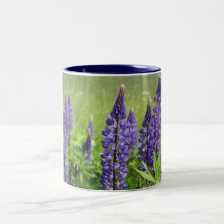 Taza Bicolor Flor de Lupin