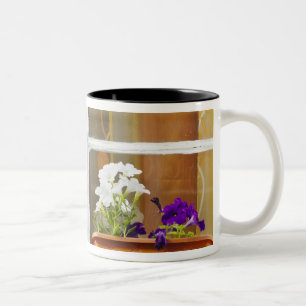Taza Bicolor Flor junto a la ventana, Sighisoara, Rumania